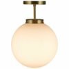 Globe Pendant Light Fixture with Acrylic Lamp Shade
